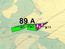 Dražba lesa, Mikulášovice, 4741 m2