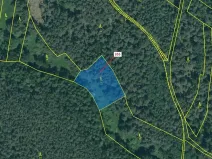 Dražba lesa, Jesenice, 1924 m2