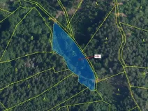 Dražba louky, Jílové u Držkova, 4019 m2