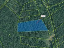 Dražba lesa, Jílovice, 5755 m2