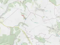 Dražba lesa, Přemyslovice, 6942 m2