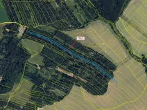 Dražba lesa, Přemyslovice, 7901 m2