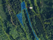 Dražba lesa, Benešov u Semil, 2958 m2