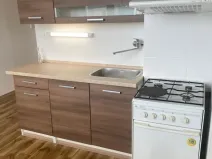 Prodej bytu 1+1, Ústí nad Labem - Severní Terasa, Stavbařů, 42 m2