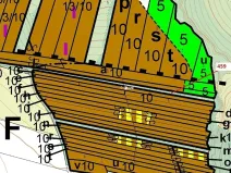 Dražba lesa, Hradčany-Kobeřice, 1895 m2