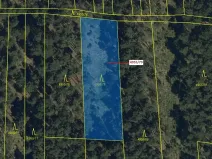 Dražba lesa, Vracov, 1662 m2