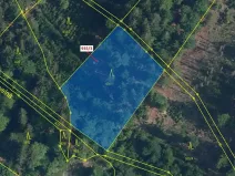 Dražba lesa, Jílové u Držkova, 2349 m2