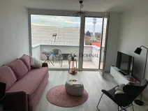 Pronájem bytu 1+kk, Ostrava - Slezská Ostrava, U Hájenky, 34 m2