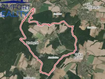 Prodej lesa, Hrabyně, 4993 m2