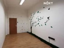 Pronájem kanceláře, České Budějovice, K. Světlé, 17 m2