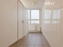 Pronájem kanceláře, České Budějovice, K. Světlé, 17 m2