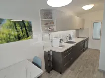 Prodej bytu 3+1, Praha, Livornská, 73 m2