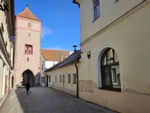 Prodej ubytování, Horažďovice, Mírové náměstí, 815 m2