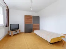 Prodej bytu 1+1, Liberec - Liberec XXV-Vesec, Česká, 33 m2