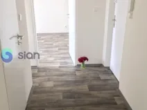 Pronájem bytu 2+1, Ostrava - Hrabůvka, Plzeňská, 53 m2