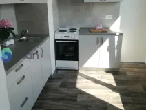 Pronájem bytu 1+1, Ostrava - Hrabůvka, Dr. Martínka, 36 m2