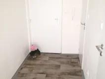 Pronájem bytu 1+1, Ostrava - Hrabůvka, Dr. Martínka, 36 m2