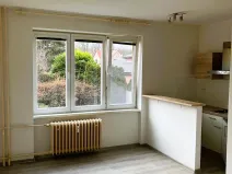 Pronájem bytu 1+kk, Ostrava - Hrabůvka, Krakovská, 22 m2