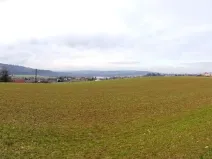 Prodej pole, Valašské Meziříčí - Podlesí, 20939 m2