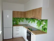 Pronájem bytu 1+kk, Pardubice - Zelené Předměstí, Bratranců Veverkových, 33 m2