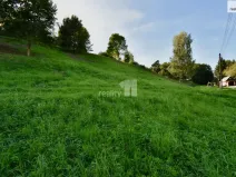 Prodej komerčního pozemku, Police nad Metují, U Lesovny, 6515 m2