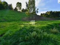 Prodej komerčního pozemku, Police nad Metují, U Lesovny, 6515 m2