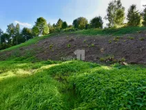 Prodej komerčního pozemku, Police nad Metují, U Lesovny, 6515 m2