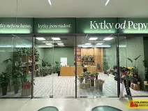 Pronájem obchodního prostoru, Brno - Brno-město, 64 m2