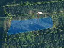 Dražba lesa, Trhové Sviny, 3603 m2