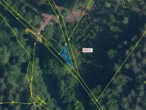 Dražba lesa, Jílové u Držkova, 88 m2