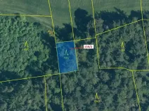 Dražba lesa, Kovčín, 362 m2