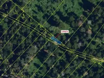 Dražba lesa, Veverské Knínice, 77 m2