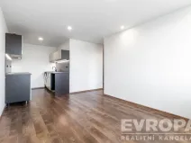 Prodej bytu 2+kk, Praha - Braník, Novodvorská, 40 m2