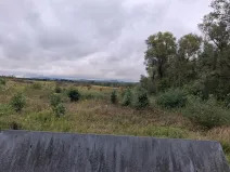 Prodej pozemku, Chodov, Nejdecká, 3546 m2