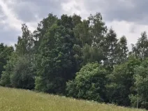 Prodej pozemku, Pomezí nad Ohří, 39941 m2