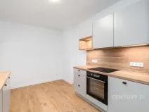 Pronájem bytu 2+1, Děčín, Ruská, 50 m2