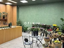 Pronájem obchodního prostoru, Brno, náměstí Svobody, 65 m2