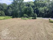 Dražba pozemku pro bydlení, Bruzovice, 11054 m2