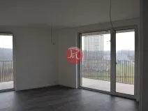 Pronájem bytu 2+kk, Ostrava, F. X. Riepla, 53 m2