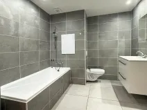 Pronájem bytu 4+kk, Most, Javorová, 83 m2