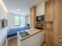 Pronájem bytu 1+kk, Opava - Předměstí, Haškova, 17 m2