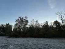 Prodej lesa, Hořiněves, 1080 m2