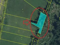 Prodej lesa, Hořiněves, 1080 m2