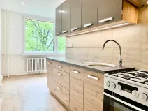 Pronájem bytu 2+1, Ústí nad Labem, Ladova, 61 m2