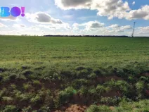 Prodej pole, Vacenovice, 6305 m2