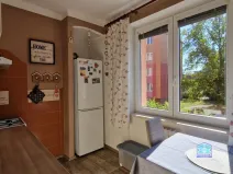 Pronájem bytu 2+1, Stříbro, Gagarinova, 48 m2