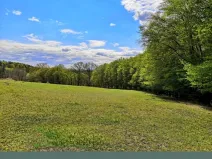 Prodej pozemku pro bydlení, Velká Polom, Okružní, 2292 m2