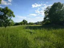 Prodej pozemku pro bydlení, Lovosice, Lhotecká, 9072 m2