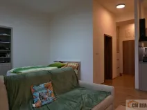 Pronájem bytu 1+kk, Olomouc - Hodolany, Holická, 42 m2