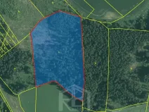 Prodej lesa, Bořetín, 31787 m2